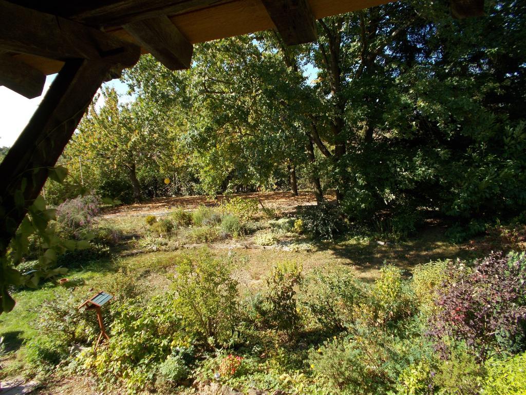La Cassinette Bed & Breakfast Romenay Exterior photo